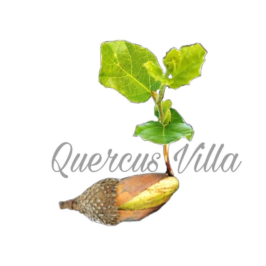 Quercus Villa Σεσίμπρα Εξωτερικό φωτογραφία